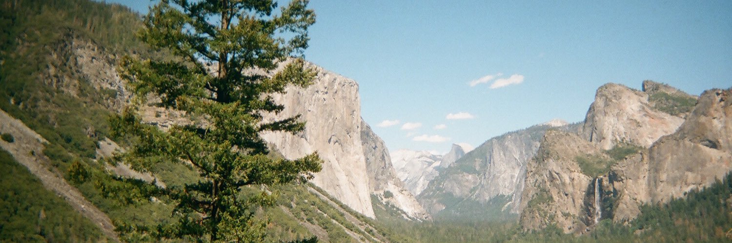 pardeedees's profile banner image