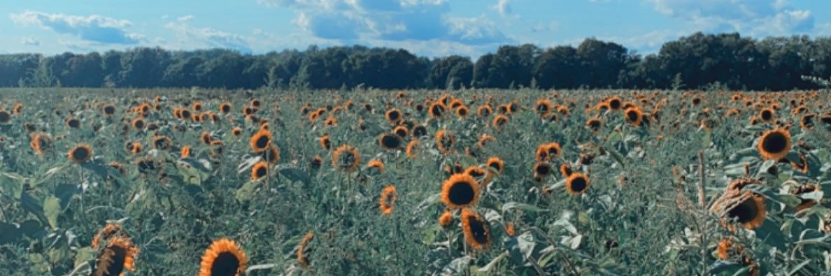 mackenzielynn23's profile banner image