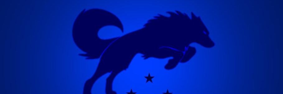 Rodolfo Rodrigues banner