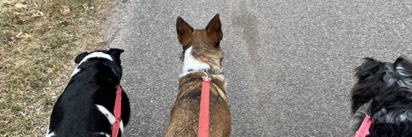 deecable Profile Banner
