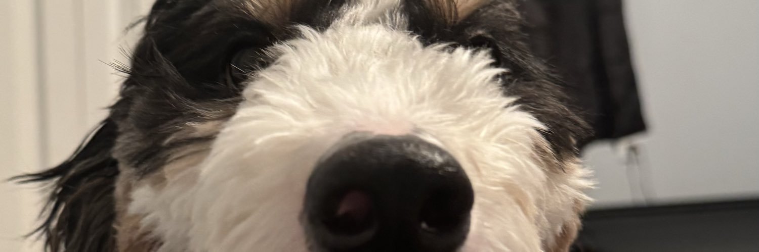 indersahota97's profile banner image