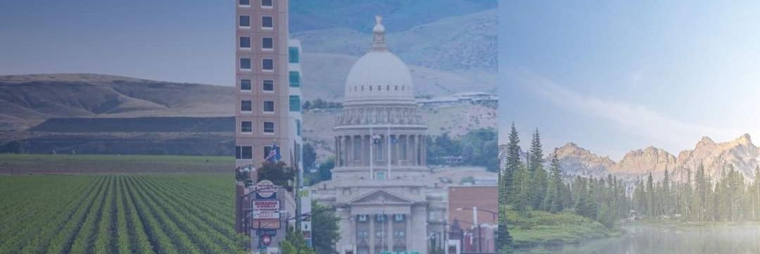 idyoungdems's profile banner image