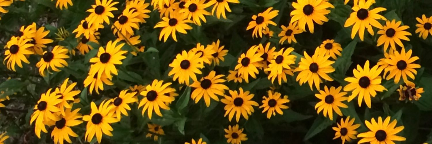 clynncantonwine's profile banner image