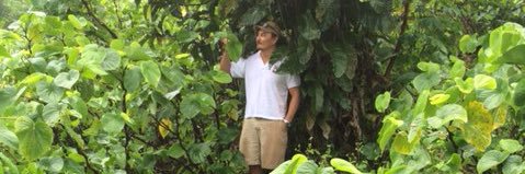 Ovalau's profile banner image