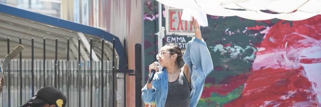 Lauren Schnapper banner