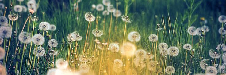 kmcd_'s profile banner image