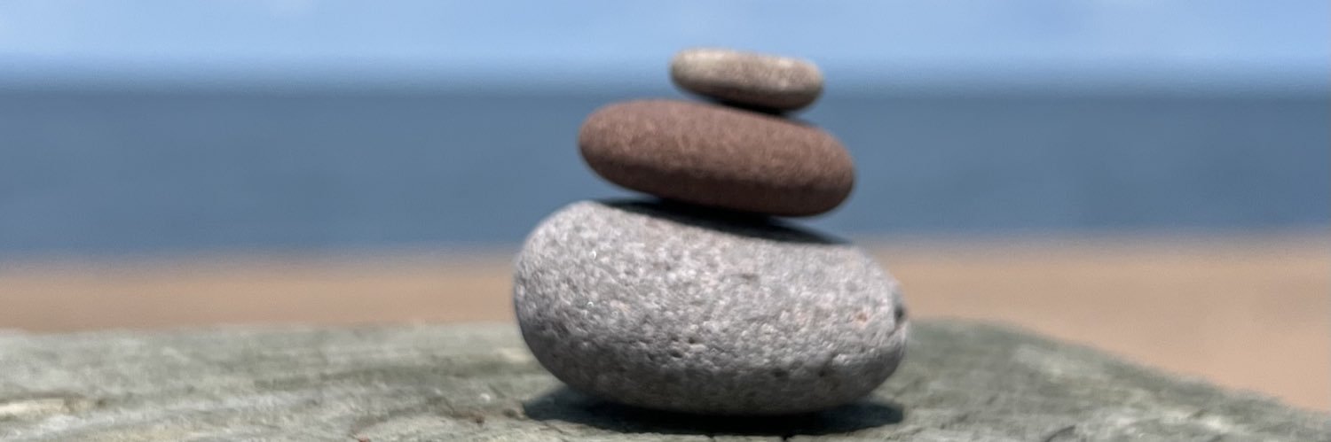 Lucas Wellness banner