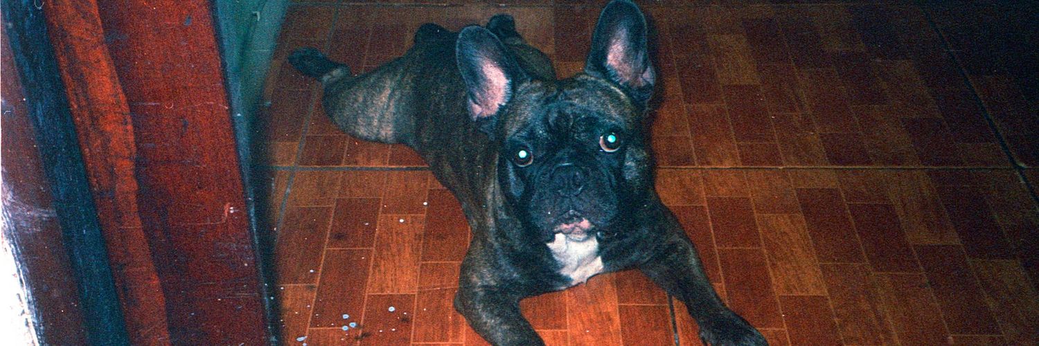 Jimmy Sáenz De Viteri banner