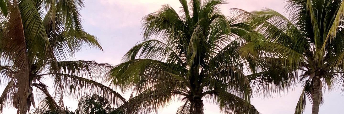cecimobii's profile banner image