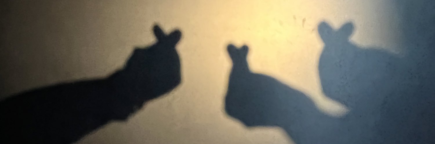sarahchaaa's profile banner image