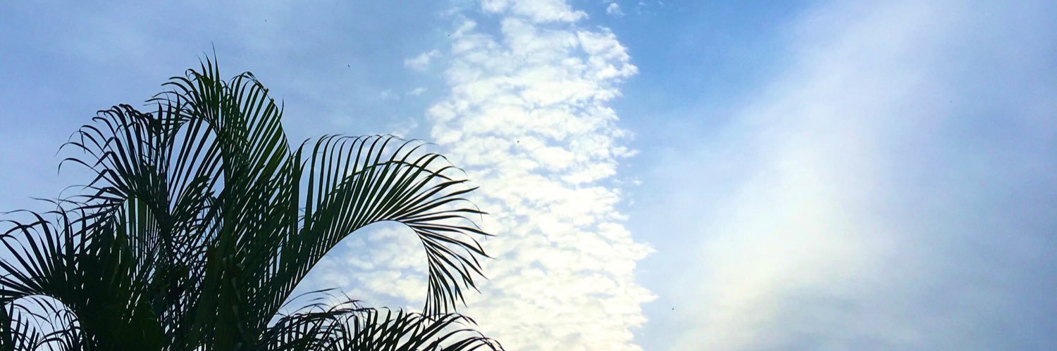 ddhersy's profile banner image
