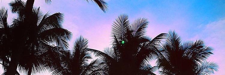 machu_s22y's profile banner image