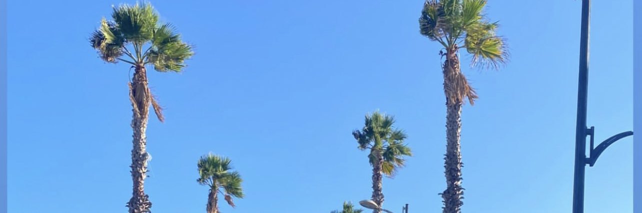 lest_ph's profile banner image