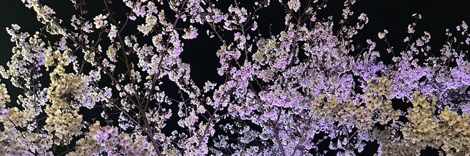 なお banner