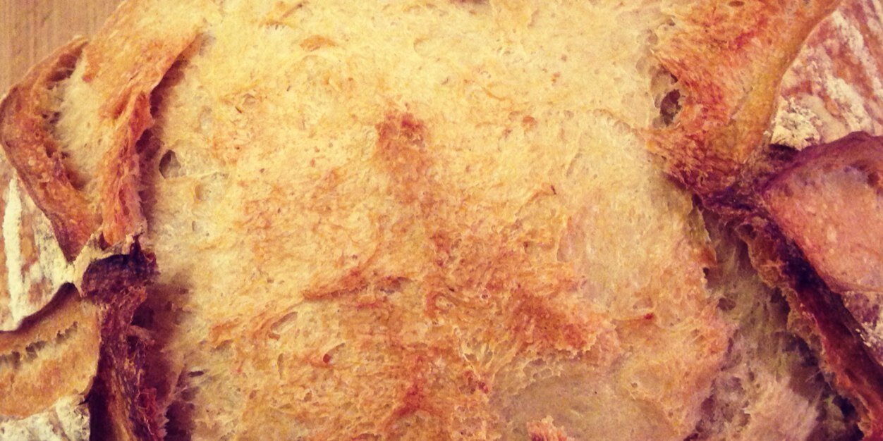 Sourdough013's profile banner image