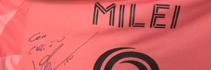 turtle_libertario banner