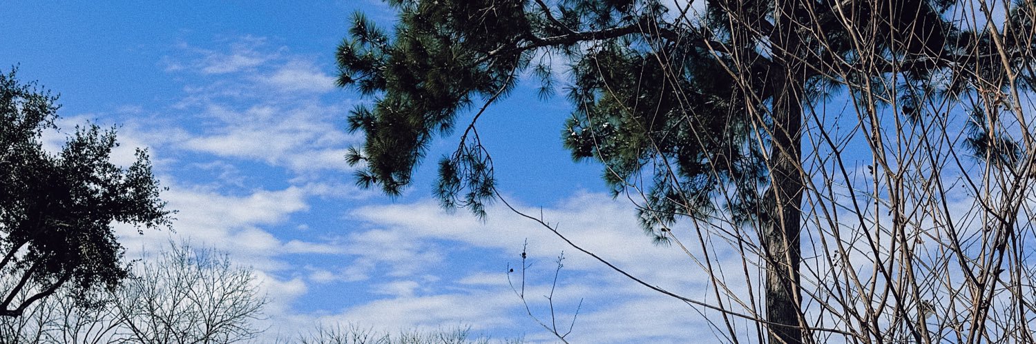 Sr. Modesto Alfonzo banner