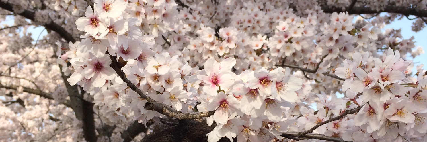 syn_iyn's profile banner image