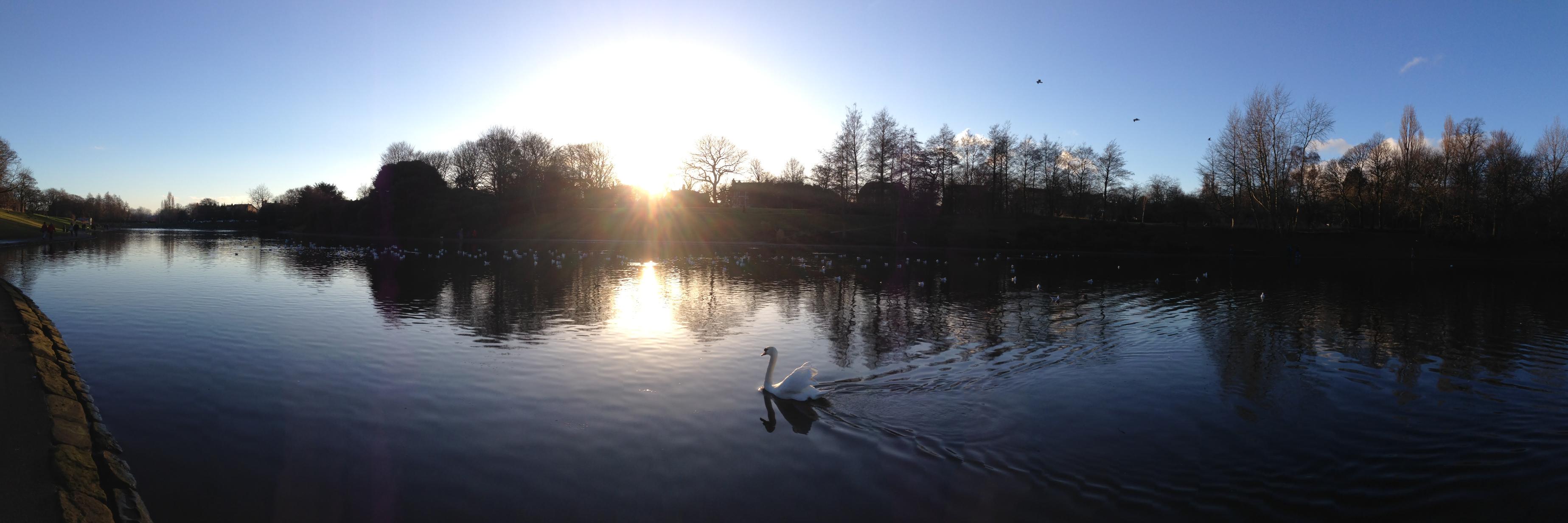 Tracy Cunningham banner