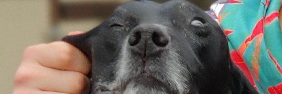 nateflo22's profile banner image