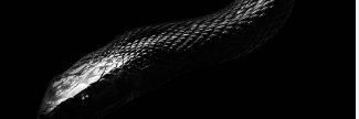 .. banner