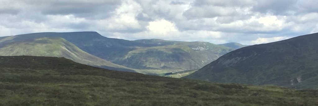 HForestry's profile banner image