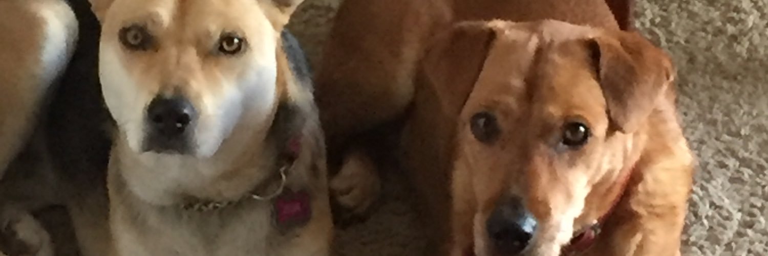 allieee111's profile banner image