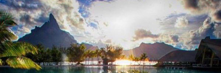 Al_Stevo's profile banner image