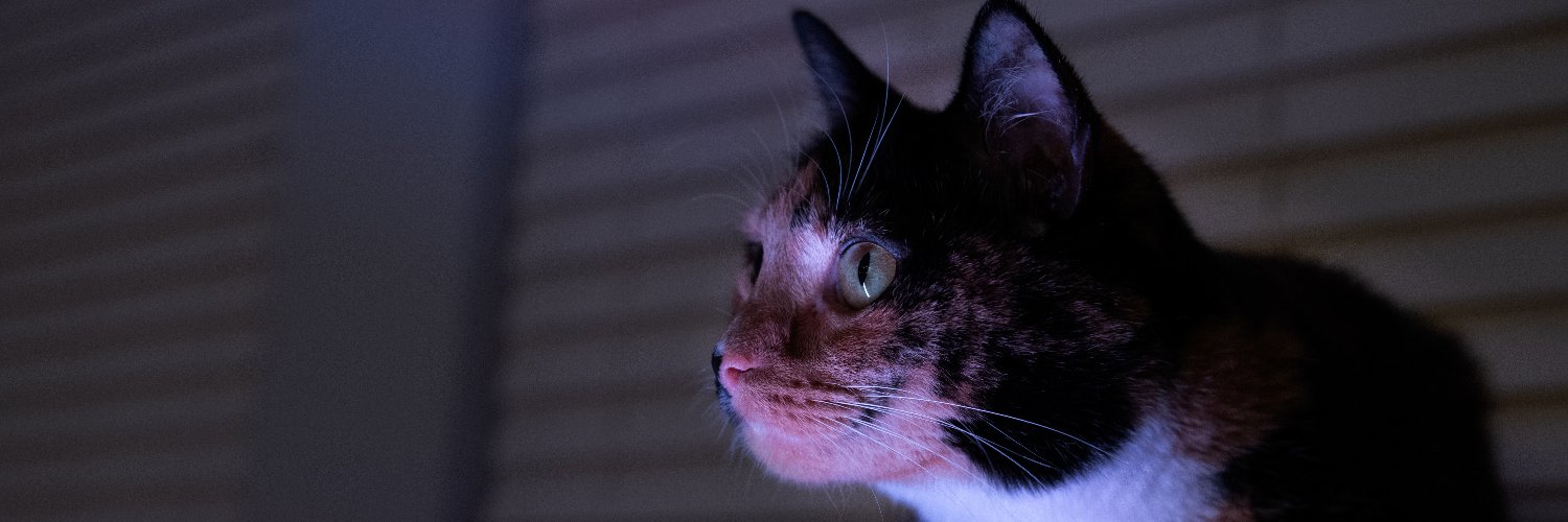 newagesoup's profile banner image