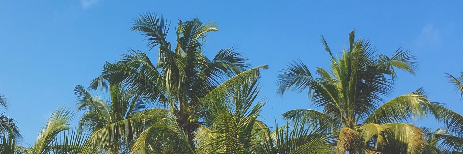 HanovaAji's profile banner image