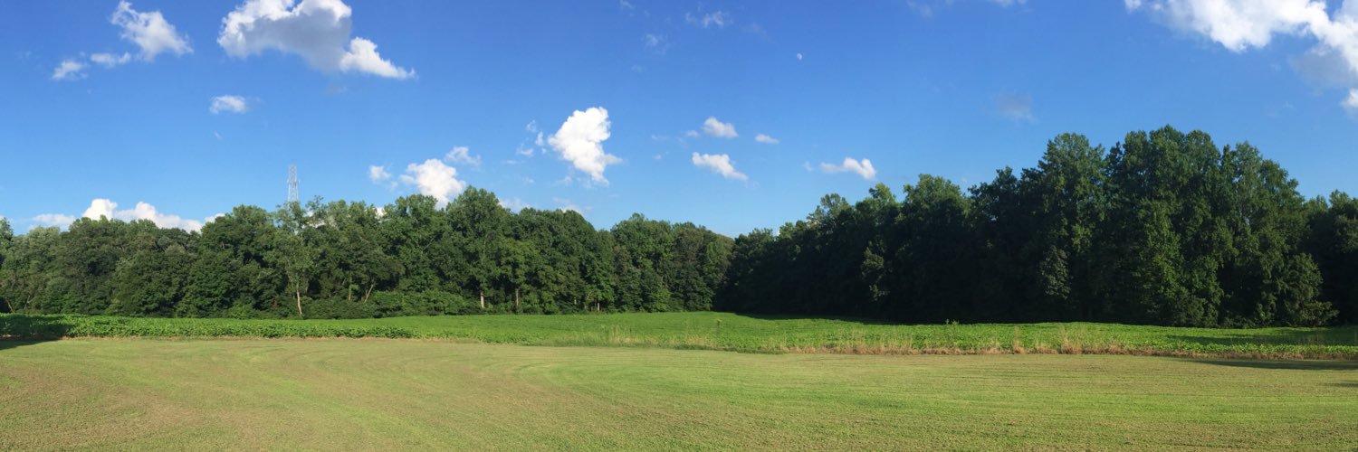 angwes's profile banner image