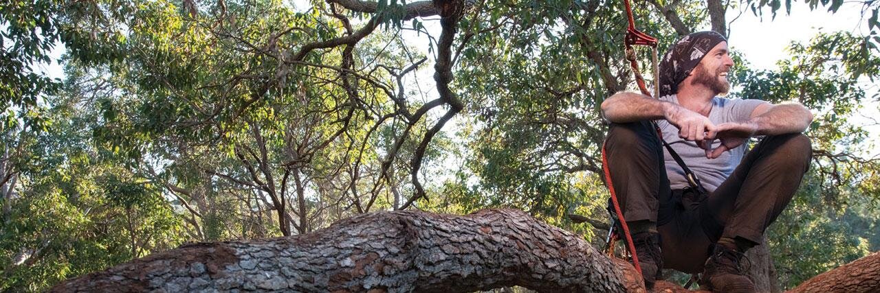 treegear's profile banner image
