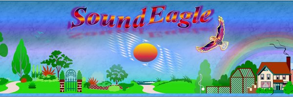 Sound_Eagle Profile Banner