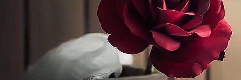 AlrasheedM10602's profile banner image
