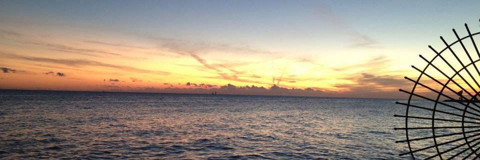 Mary Ann Rouse, M.Ed banner