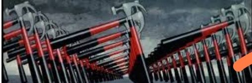 Scalez Junior banner