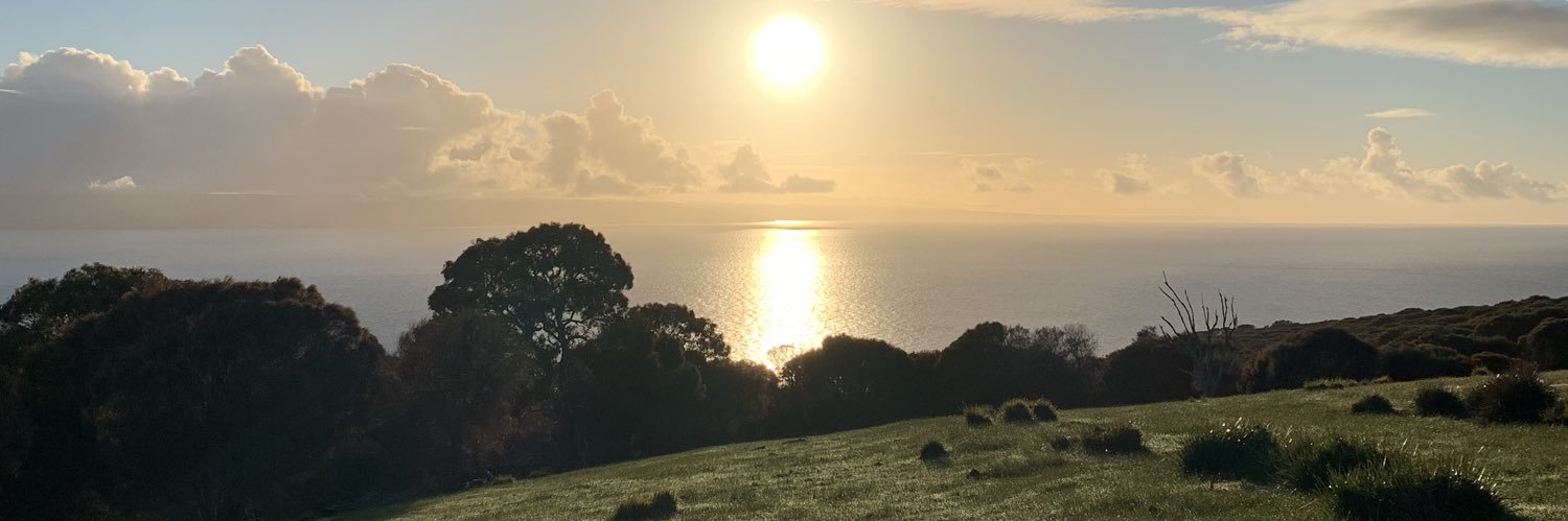 Elizabeth Rudall banner