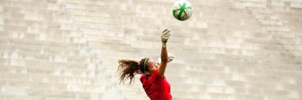 Ryann Torrero banner