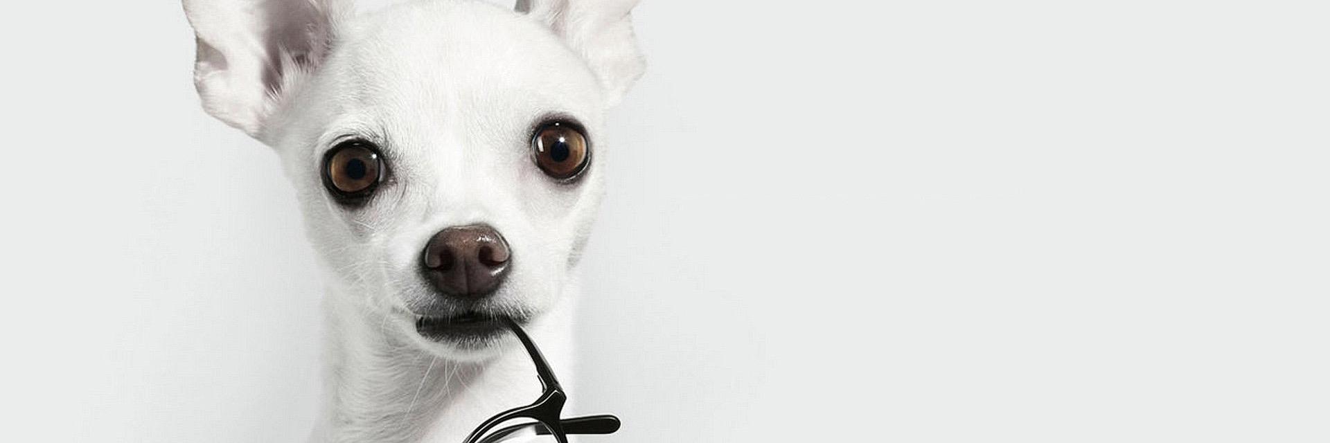 Weijie__Fu's profile banner image