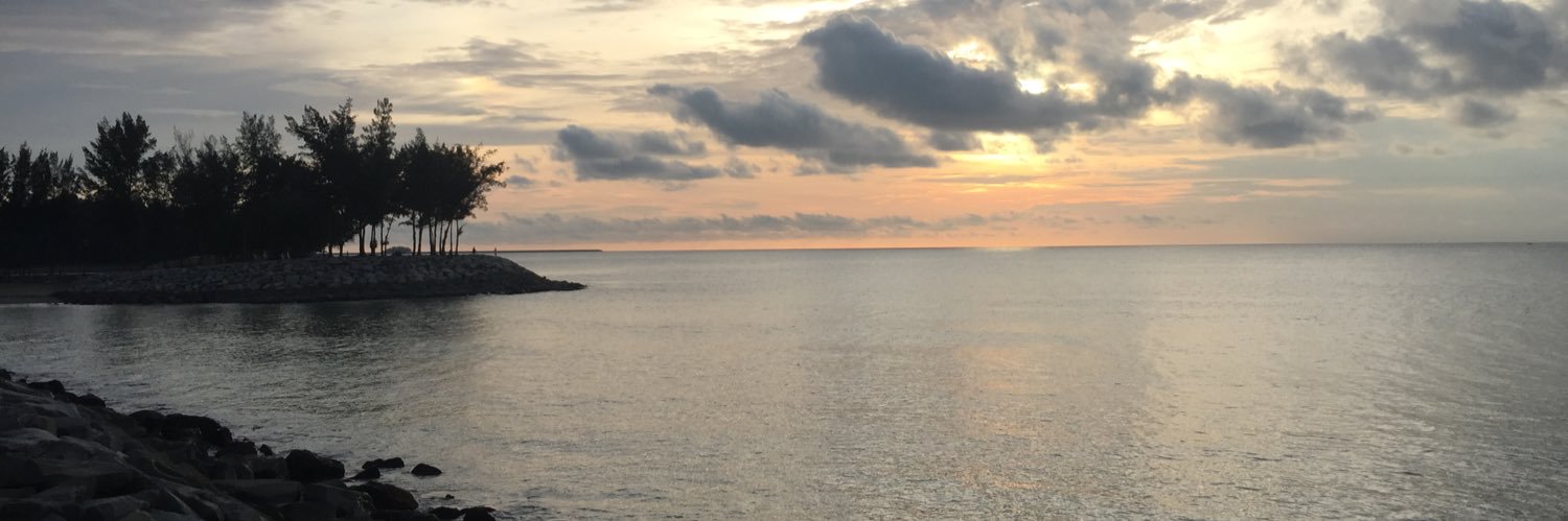 deefinitelydee's profile banner image