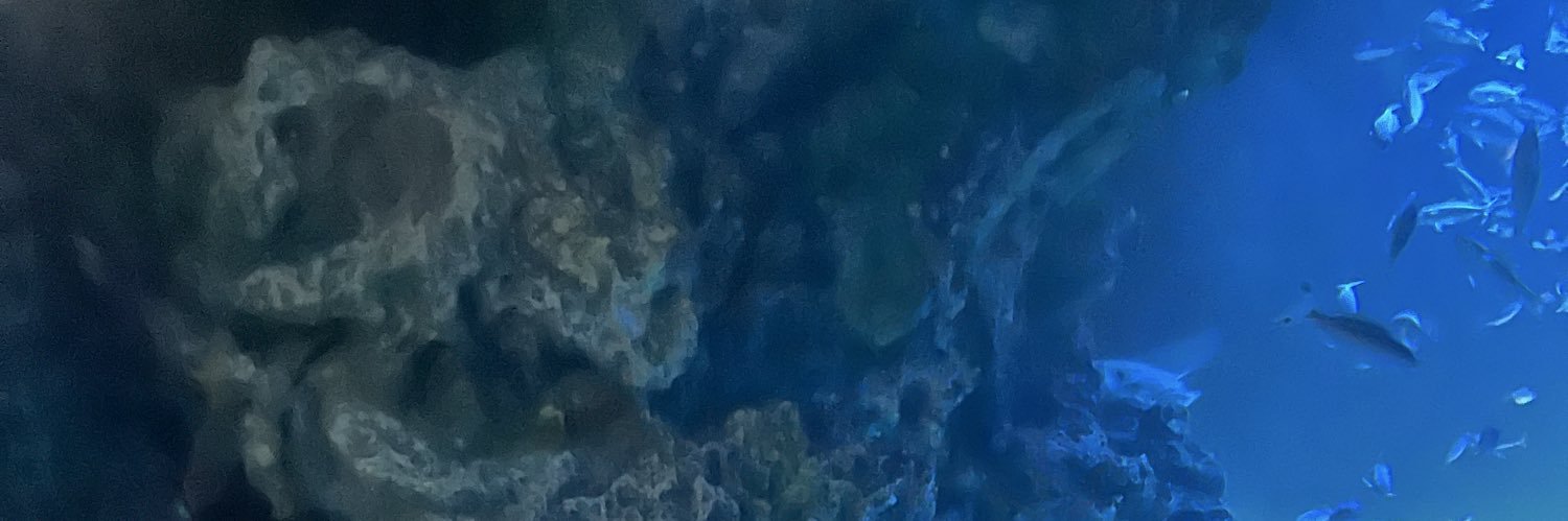 inar2g's profile banner image