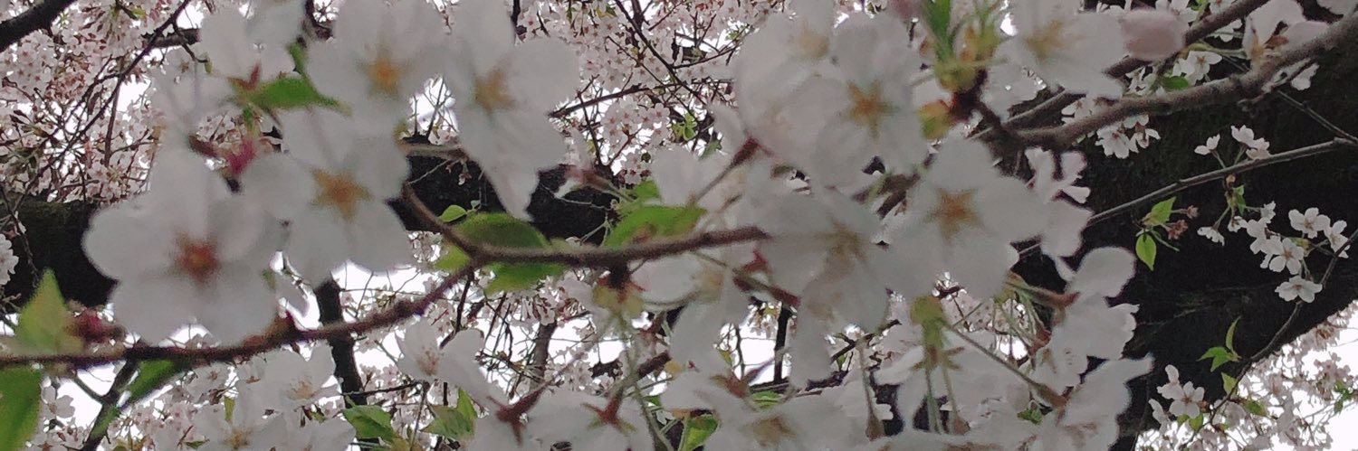 0527Y's profile banner image