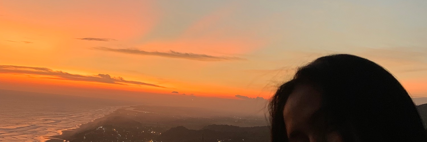 vincent_dhani's profile banner image