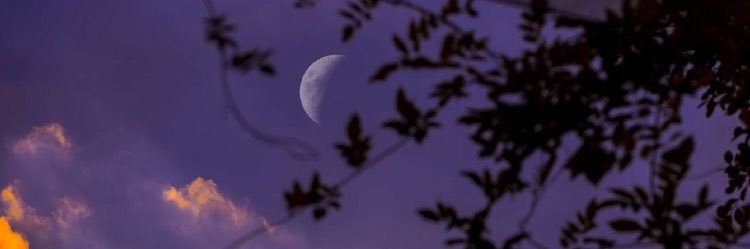 aptrisays's profile banner image