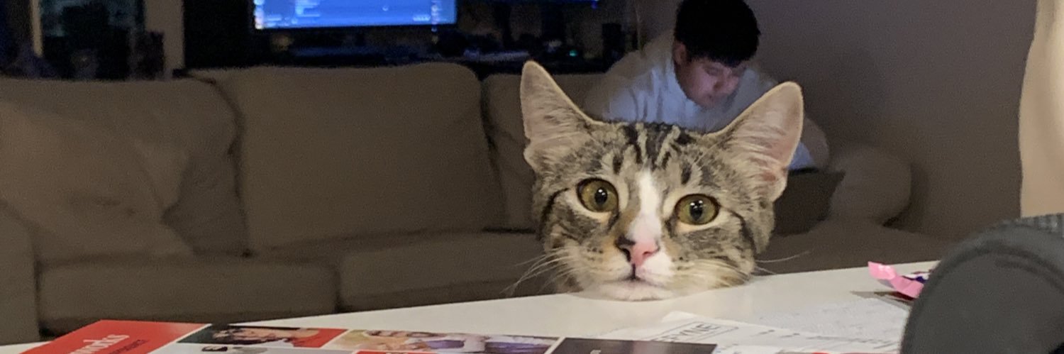 shmilllll's profile banner image
