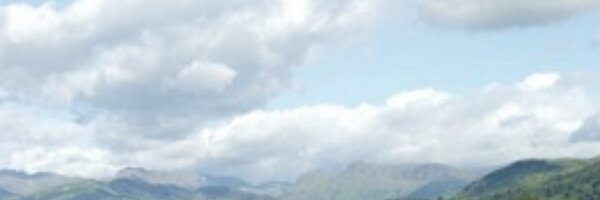 W_Reflections Profile Banner