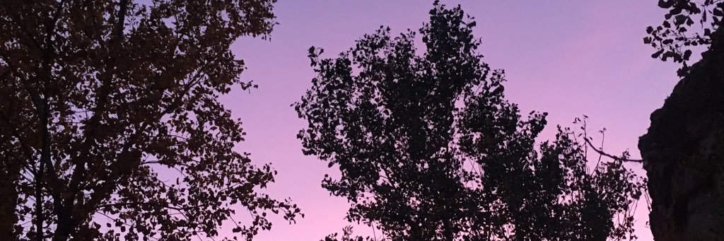 Pedro221's profile banner image