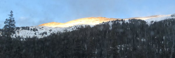 Llosa_ Profile Banner