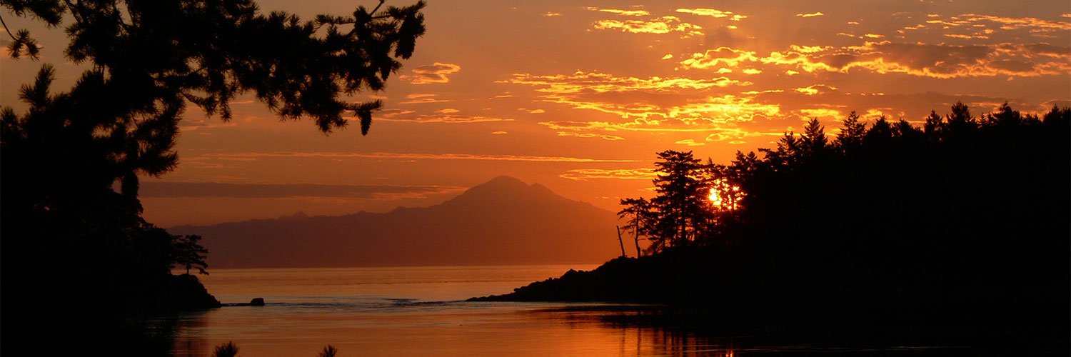 Whatcom Democrats banner