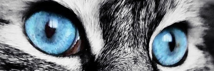 Fm_django's profile banner image